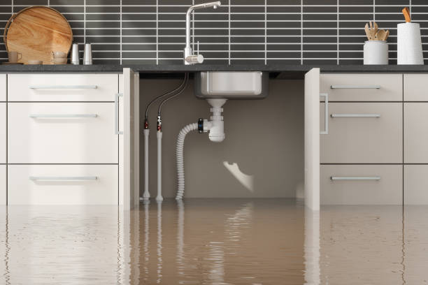 Best Professional water damage repair  in USA